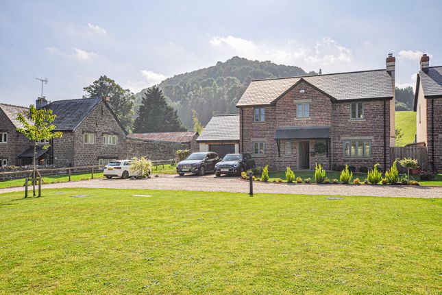 Thumbnail Detached house for sale in Old Court Gardens, Symonds Yat West, Whitchurch, Ross-On-Wye