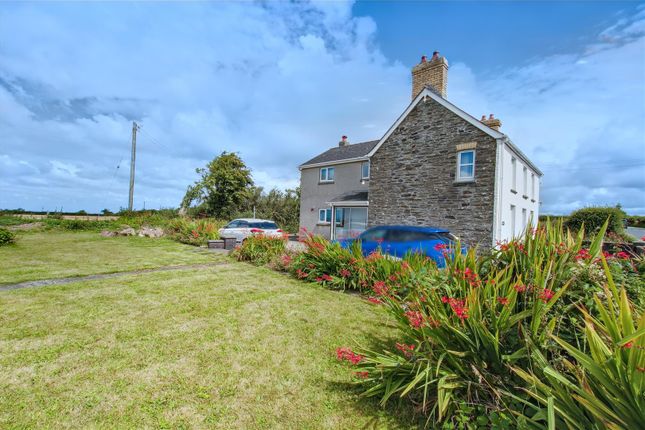 Brynarfor, Cardigan photo 3