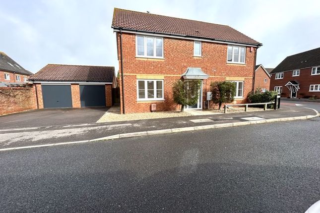 Thumbnail Detached house to rent in Seafire Road, Lee-On-The-Solent