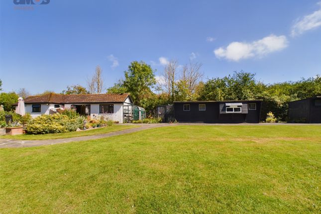 Detached bungalow for sale in Lark Hill Road, Canewdon, Rochford, Essex