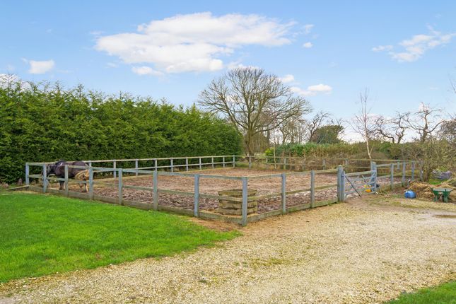 Equestrian property for sale in Main Road, Saltfleetby, Louth