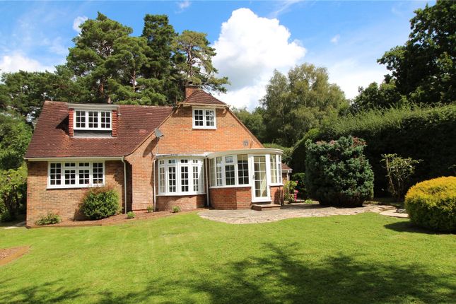 Thumbnail Detached house to rent in Lewes Road, Chelwood Gate, Haywards Heath, West Sussex