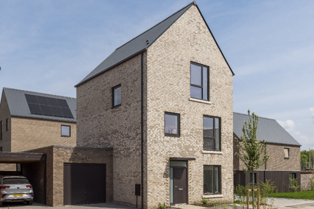 The Mulberry, Number 366