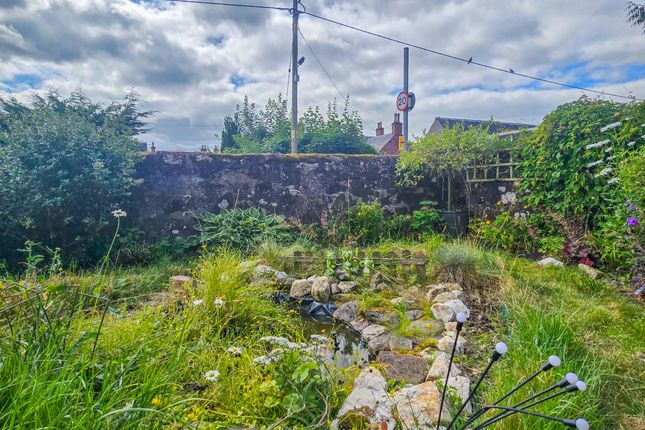 Berkeley, St. Ninians Road, Blairgowrie photo 3