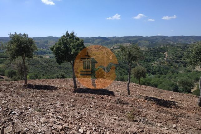 Land for sale in Corte Do Gago, Azinhal, Castro Marim