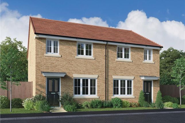Thumbnail Semi-detached house for sale in "The Ingleton" at Elm Avenue, Pelton, Chester Le Street
