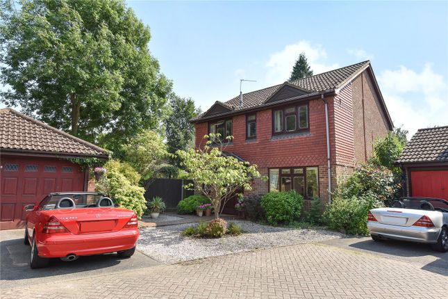 Thumbnail Detached house to rent in Badgers Copse, Camberley, Surrey