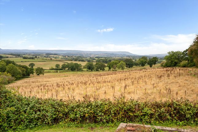 Llanishen, Chepstow photo 4