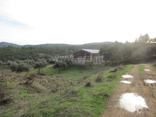 Thumbnail Farm for sale in Aranhas, Penamacor, Castelo Branco, Central Portugal