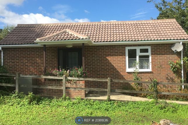 Thumbnail Maisonette to rent in Alresford Drove, Winchester