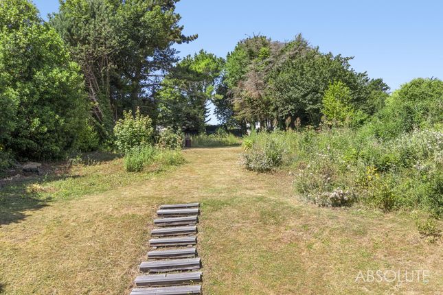 Arcadian Heights, Babbacombe Road, Torquay photo 4