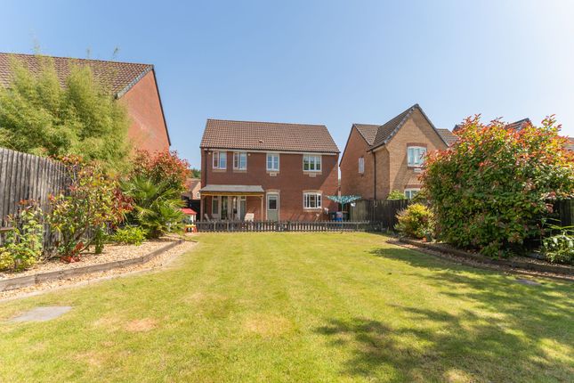 14 Narcissus Grove, Newport photo 4