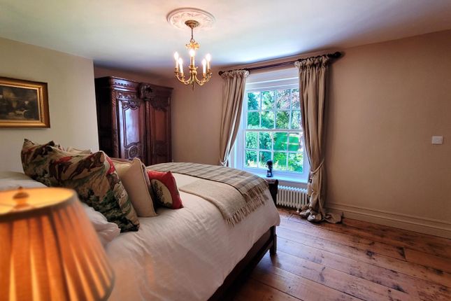 Gently Wake Up To The Sound Of Bird Song