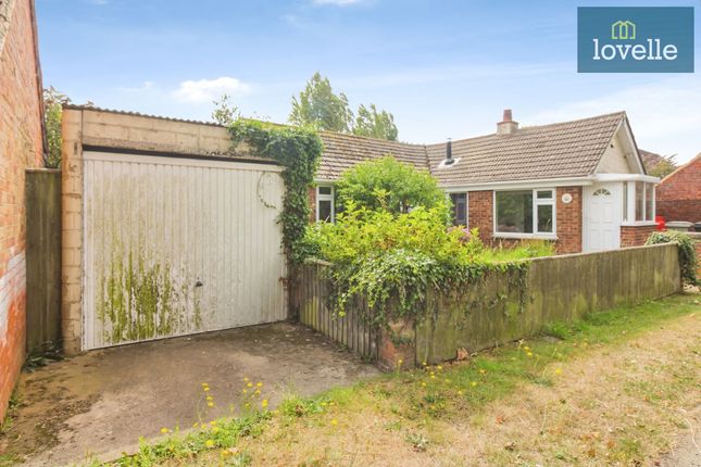 Conifers Bank End, Louth photo 3