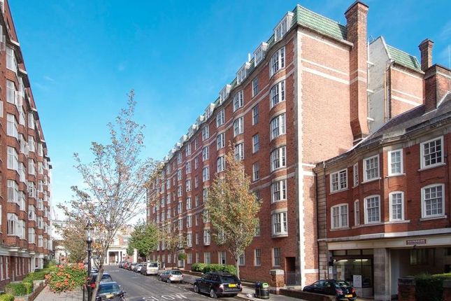 Ralph Court 67-Exterior.Jpg