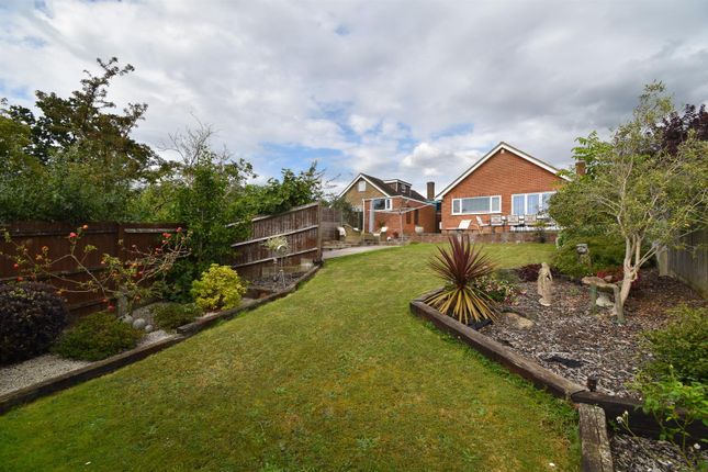 Thumbnail Detached bungalow for sale in Hollinghurst Close, St. Leonards-On-Sea