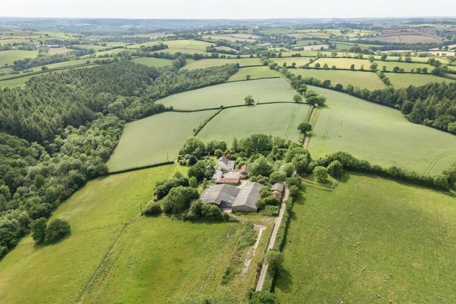 Welland Down Farm, Crediton photo 2