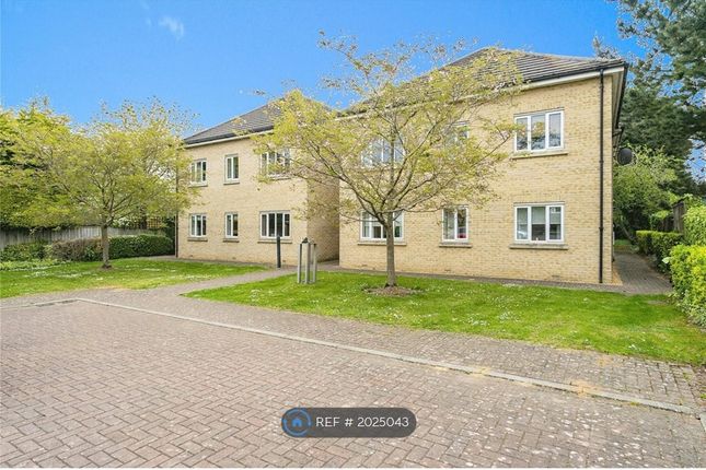 Thumbnail Flat to rent in Brookwood House, Cambridge