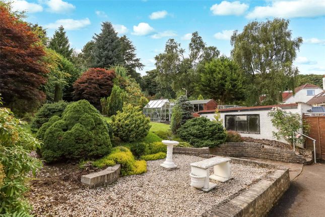 35, Ravelston Road, Lanarkshire photo 4
