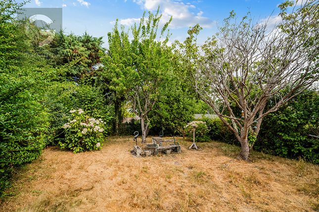 35 Seymour Avenue, Epsom photo 4