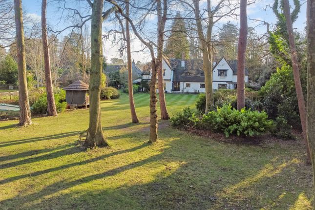 Thumbnail Detached house for sale in Ridgemead Road, Englefield Green, Egham, Surrey