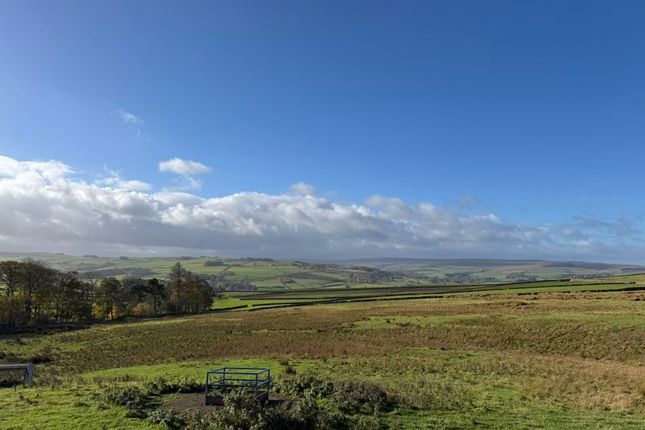 2, Newfield, Hexham photo 4