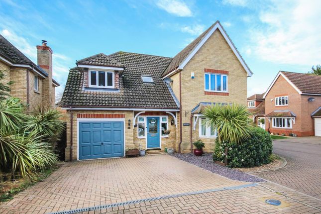 Thumbnail Detached house for sale in Hillside Meadow, Fordham, Ely