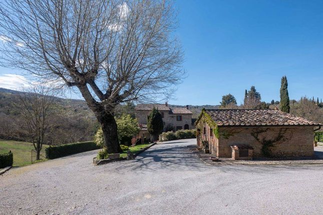 Country house for sale in Cetona, Cetona, Toscana