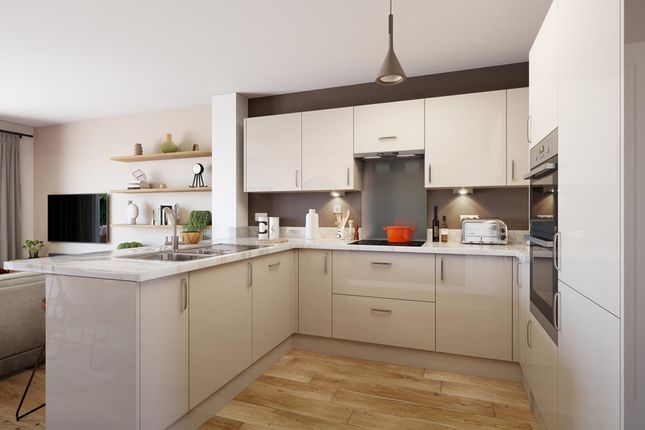 A Brand New, Modern Kitchen Is Ready To Go From The Day You Move In