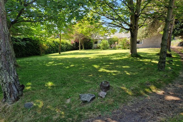 4, Borrowfield Road, Montrose photo 2