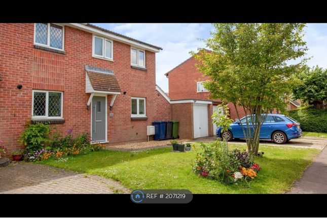 Thumbnail Semi-detached house to rent in Laxton Avenue, Hardwick