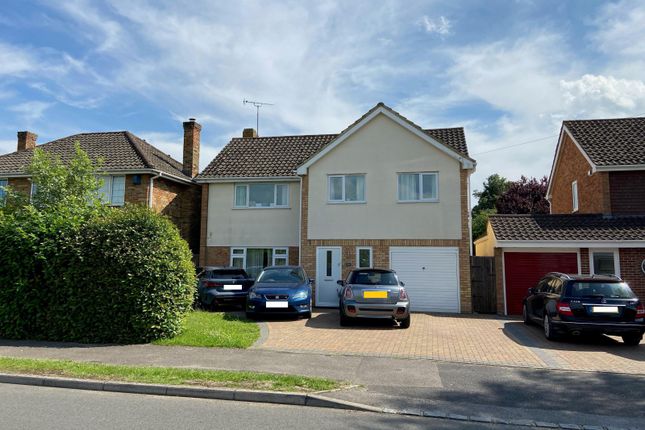 Thumbnail Detached house to rent in Amberley Drive, Twyford, Reading, Berkshire