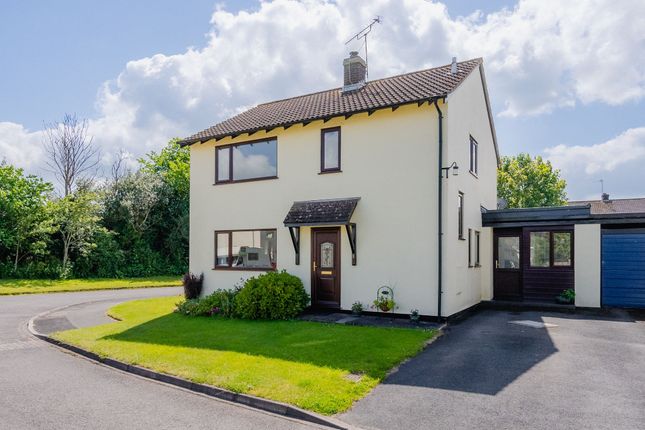 Thumbnail Detached house for sale in Nymet Avenue, Bow