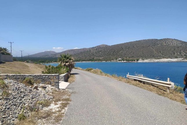 Land for sale in Kavousi 722 00, Greece
