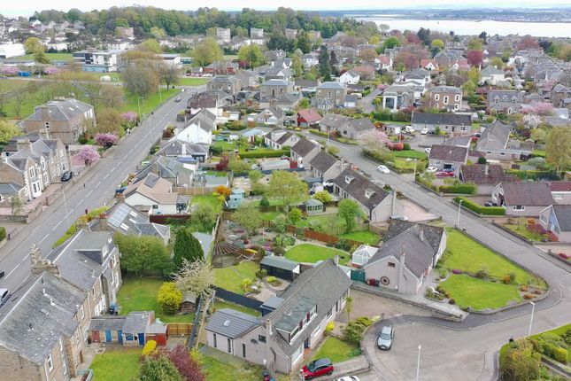 22, Luke Place, Dundee photo 4