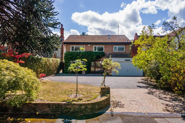 33A Alderbrook Road_80.Jpg