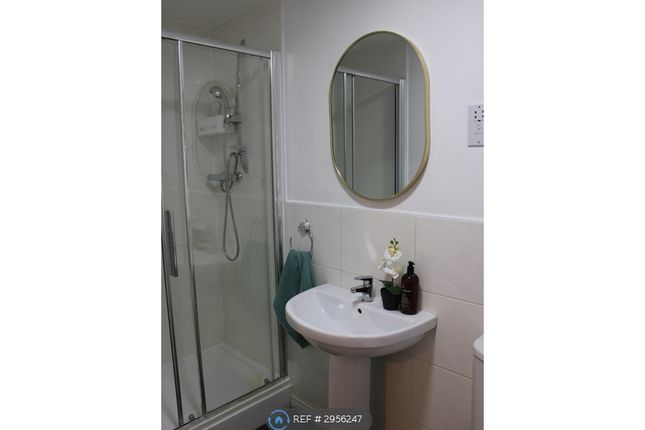 Danbury Place, Leicester photo 3