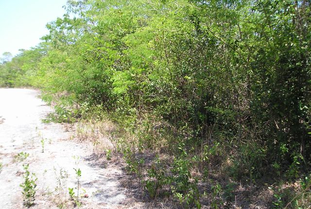 Land for sale in Waterfront Lot: Bahama Sound 18A, The Bahamas