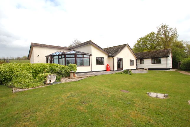 Detached bungalow for sale in Lower Road, Layer Breton, Colchester