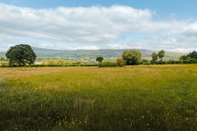 Land to let in Land At Caeau Ty Mawr, Llangasty, Brecon