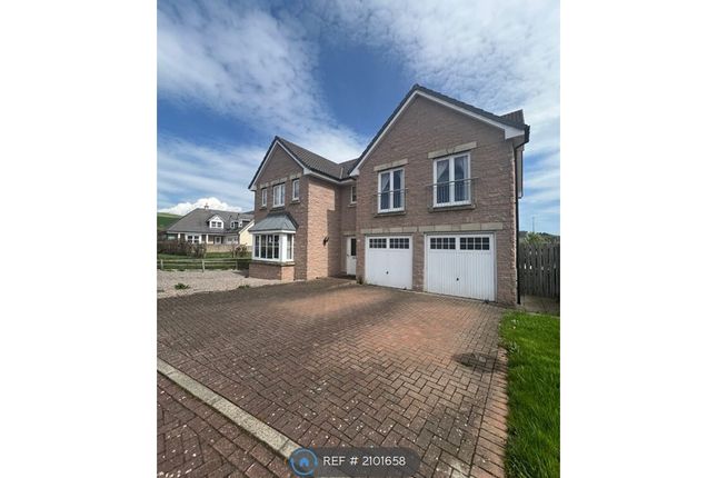Thumbnail Detached house to rent in Keirhill Gardens, Westhill