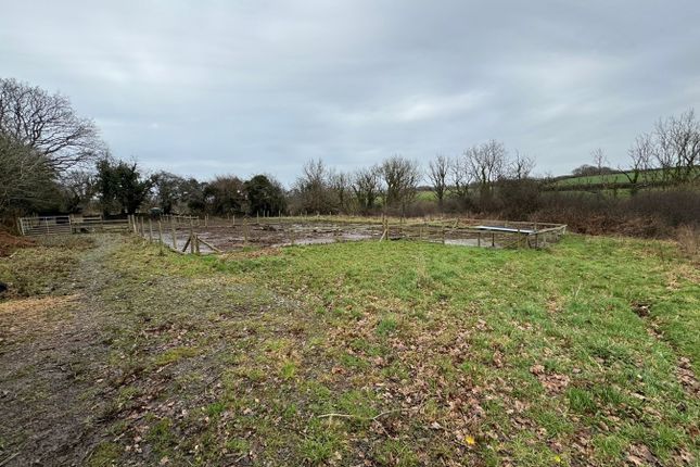 Land for sale in Bettws Ifan, Rhydlewis