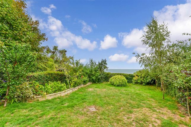 Gills Cliff Road, Ventnor photo 4