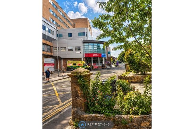 Higher Kingston, Yeovil photo 5