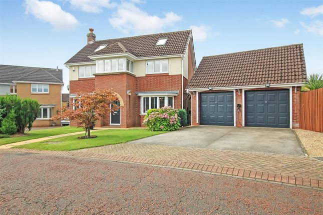 Thumbnail Detached house for sale in Karles Close, Newton Aycliffe