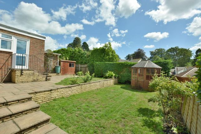 Detached bungalow for sale in Lacy Drive, Wimborne, Dorset