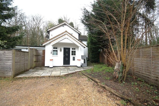 Detached house to rent in Convent Lane, Burwood Park, Cobham, Surrey