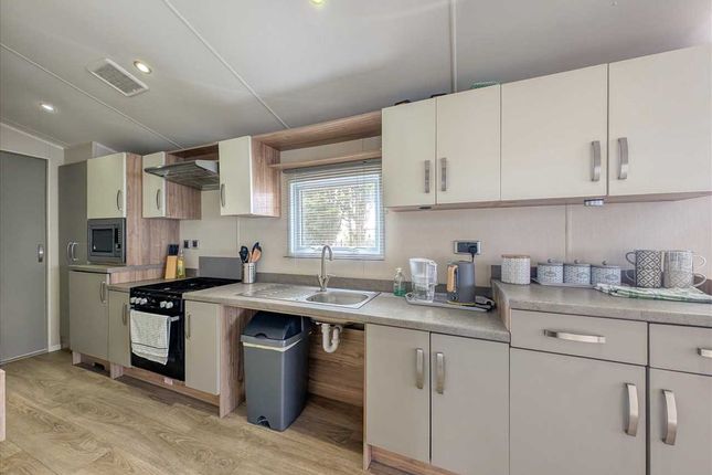 Joanie, Mv15,, Seawick Holiday Park, St Osyth photo 4