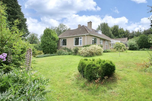 Thumbnail Bungalow for sale in Foxcote, Radstock