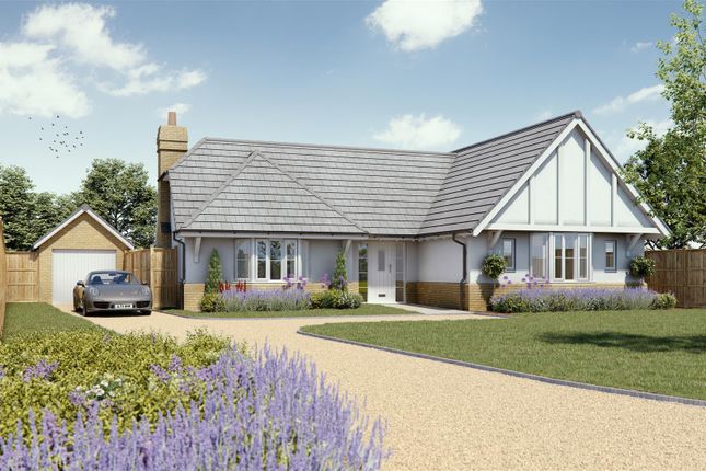 Thumbnail Detached bungalow for sale in Witham Road, Wickham Bishops, Witham